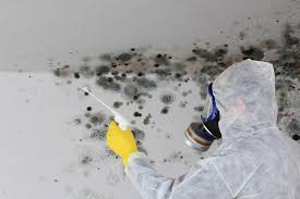 Best Industrial Mold Remediation  in Crested Butte, CO